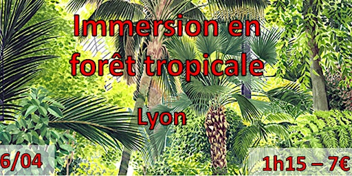 Image principale de Immersion en forêt tropicale humide à Lyon Samedi 6 Avril après-midi