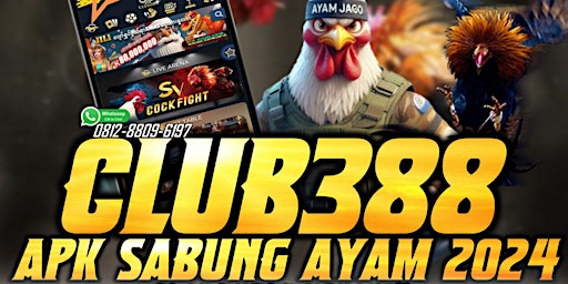 DAFTAR SABUNG SAYAM CLUB388 | DAFTAR CLUB388  primärbild