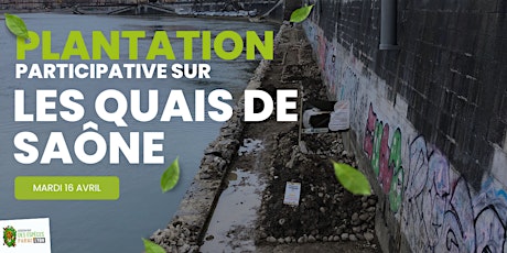 Chantier participatif de plantation sur les quais de Saône
