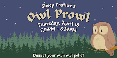 Primaire afbeelding van Owl Prowl! (Sheep Pasture: After Dark)