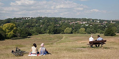 Imagem principal de Creative nature and landscape photography in Hampstead Heath, London.