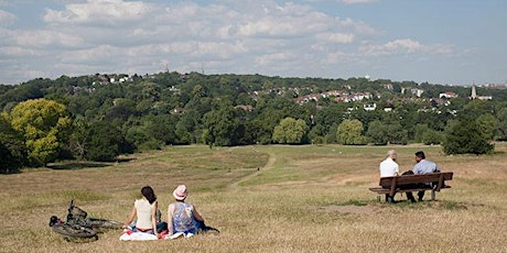 Creative nature and landscape photography in Hampstead Heath, London.