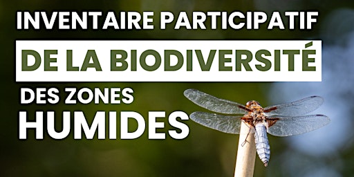 Hauptbild für Inventaire participatif de la biodiversité des zones humides