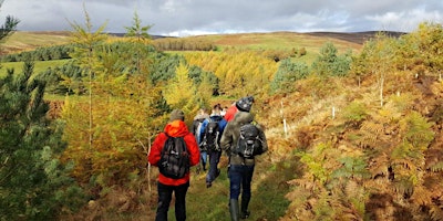 Image principale de Agroforestry Open Weekend at Glensaugh