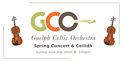 Celtic Orchestra Spring  Concert and Ceilidh primary image