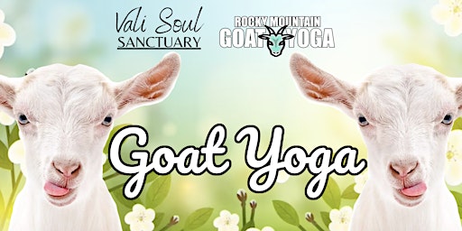 Imagem principal do evento Goat Yoga - June 1st (VALI SOUL SANCTUARY)