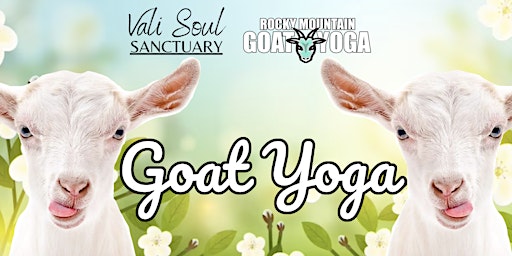 Immagine principale di Goat Yoga - May 4th (VALI SOUL SANCTUARY) 