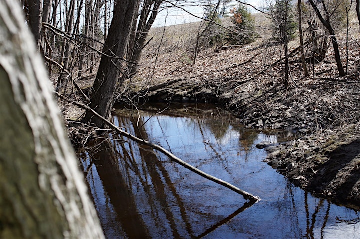 Red Brook in South Portland
