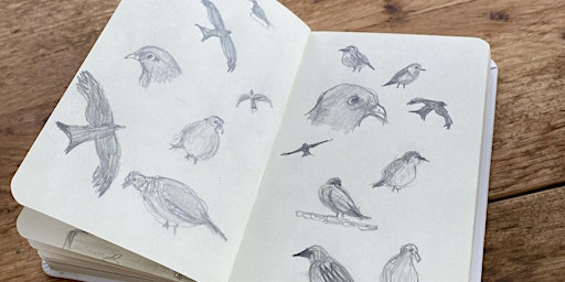 Primaire afbeelding van Drawn into nature: a wild sketching workshop