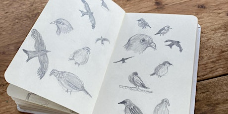 Drawn into nature: a wild sketching workshop