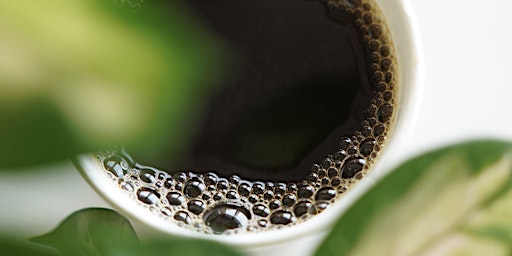 Immagine principale di Coffee Tasting Workshop  4-20-24  Sugar Land 