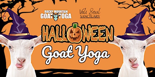 Imagem principal do evento Halloween Goat Yoga - October 5th (VALI SOUL SANCTUARY)
