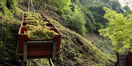 Di Riva in Riva: degustare il territorio in un calice