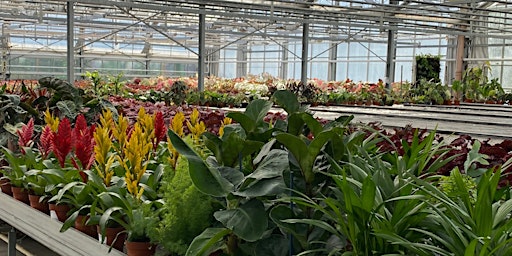 Primaire afbeelding van Plantenmarkt Plantasie >< PUP Plants