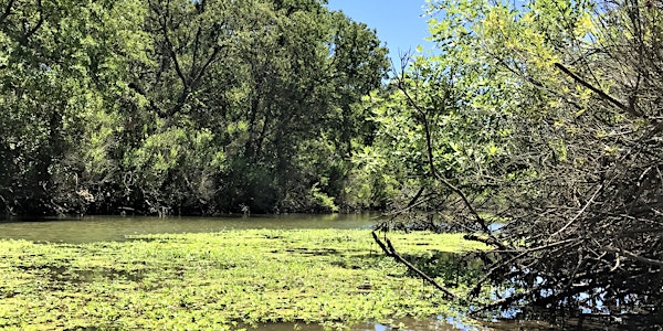 Explore the Wonders of Fish at the Cosumnes River Preserve on a Guided Walk