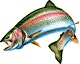 Organizer profile image