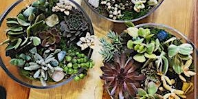 Imagen principal de Succulent & Crystal Terrarium Workshop