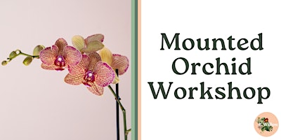 Image principale de Mounted Orchid Workshop