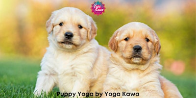 Primaire afbeelding van Puppy Yoga (Kids-Friendly) by Yoga Kawa Markham Golden Retrievers