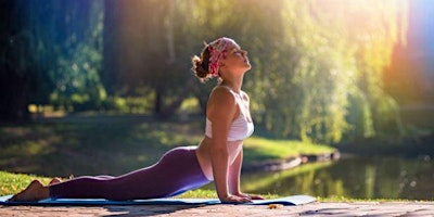 Primaire afbeelding van Let's Get Grounded Yoga