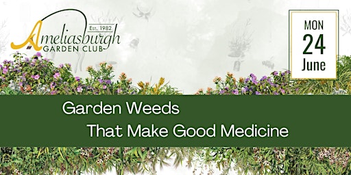 Primaire afbeelding van Garden Weeds That Make Good Medicine