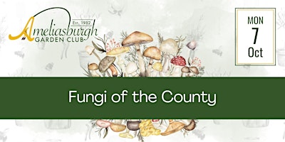 Fungi of the County primary image