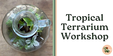 Tropical Terrarium in Glass Jug Workshop