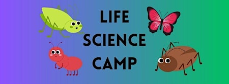 Image principale de Life Science Camp- Building Cicada Calls- Grades K-3rd