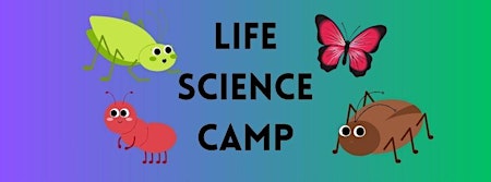 Image principale de Life Science Camp- Building Cicada Calls- Grades K-3rd- Paducah City