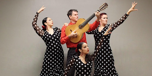 Imagen principal de Flamenco Dinner Show