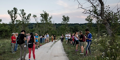 In itinere | passeggiata filosofica | cura