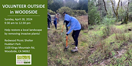 Volunteer in Woodside: Community Habitat Restoration at Huddart Park primary image