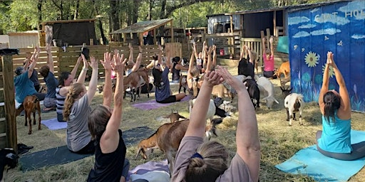 Immagine principale di Goat Yoga and Hang with the Herd in Tallahassee 