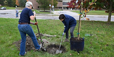 Clarendon Hills Cemetery Tree Planting primary image