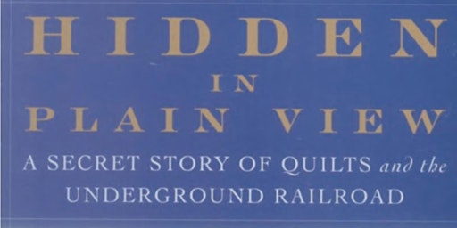 Primaire afbeelding van Hidden in Plain View: The Secret Story of Quilts & the Underground Railroad