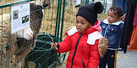 National Children's Center (NCC) Taste of the Garden at Fall Festival