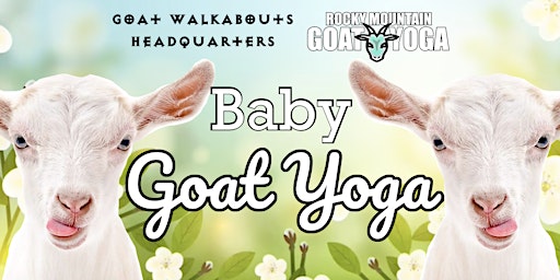 Imagem principal de Baby Goat Yoga - April 28th (GOAT WALKABOUTS HEADQUARTERS)