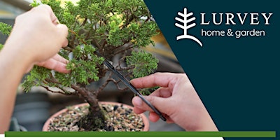 Imagem principal do evento Introduction to Bonsai