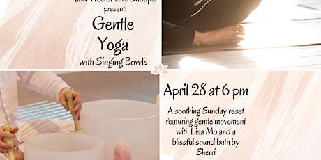 Gentle Yoga with Singing Bowls at Tree of Life Shoppe