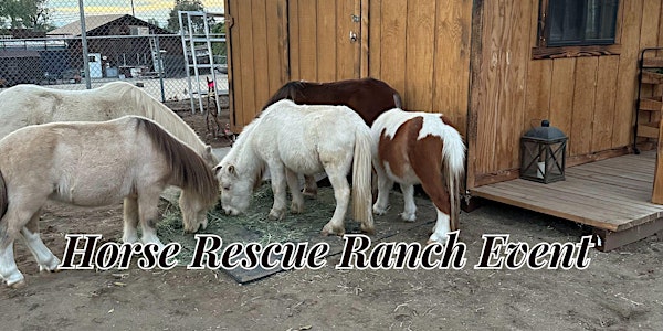 Horse Ranch Tour Experience