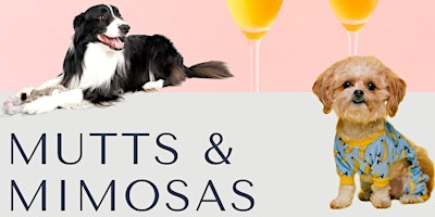 Imagem principal do evento Mutts & Mimosas