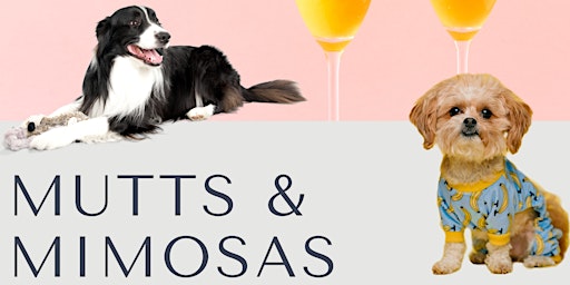 Primaire afbeelding van Mutts & Mimosas