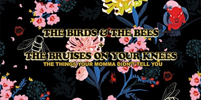 The Birds and The Bees: Things Mom Didn't Tell You primary image