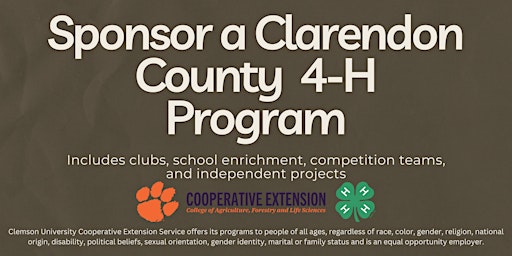 Sponsor a 4-H Clarendon County Youth primary image