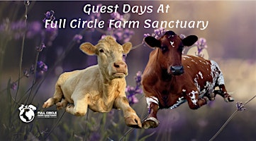 Guest Days At Full Circle Farm Sanctuary primary image