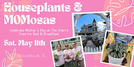 Houseplants & MOMosas at The Cherry Tree Inn Bed & Breakfast
