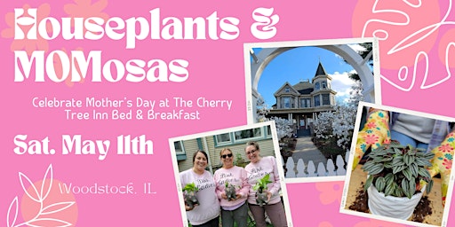 Imagem principal do evento Houseplants & MOMosas at The Cherry Tree Inn Bed & Breakfast