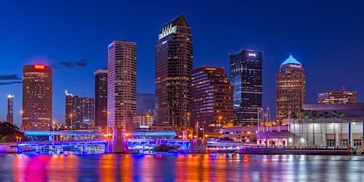 Immagine principale di TAMPA BUSINESS OPPORTUNITY MEETING 