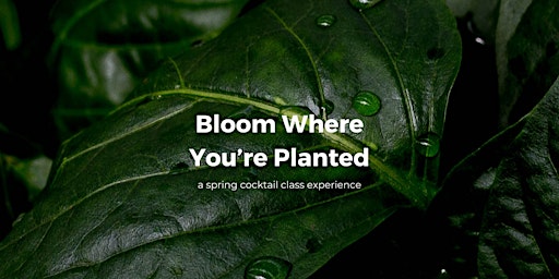 Hauptbild für Bloom Where You're Planted