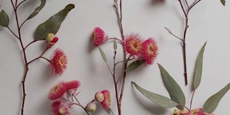 Intro to Aus Bush Flower Essences